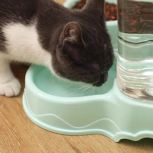 FurFree™ Automatic Pet Feeder & Drinking Bowl