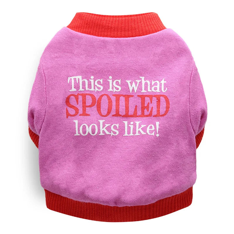 FurFree™ Halloween & Christmas Pet Clothes